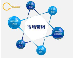 淘寶網(wǎng)電子商務(wù)市場營銷分析